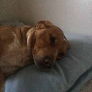 Meet your Posher, Alicia